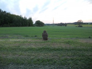 DSCN1684.jpg