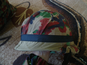 P1050267.GIF