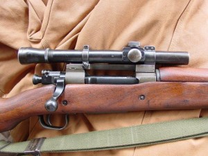 standard-17.jpg
