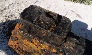 IMAG0379.jpg