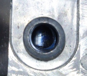 DSC_0071.jpg