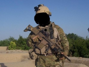 sealscar.jpg