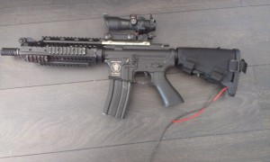IMAG0206.jpg
