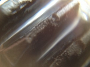 IMG_0115.JPG